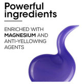 Serie Expert Silver Neutralising Cream - MazenOnline